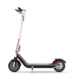 Olsson Zebra 8,5″ Weiß