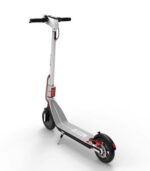 Olsson Zebra 8,5″ Weiß – Bild 2